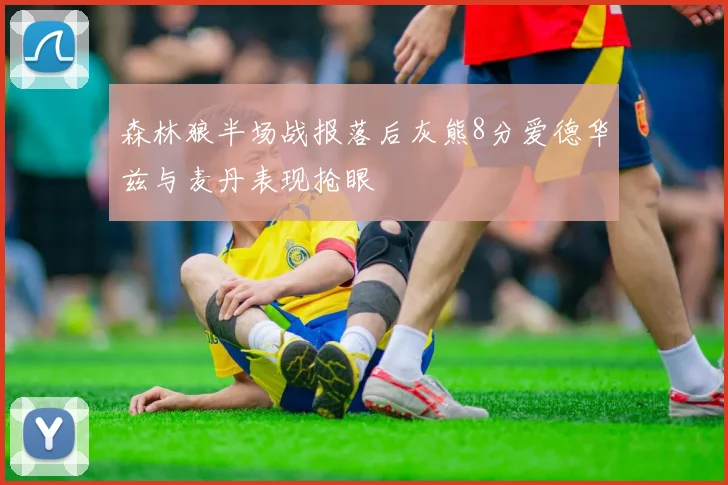 森林狼半场战报落后灰熊8分爱德华兹与麦丹表现抢眼